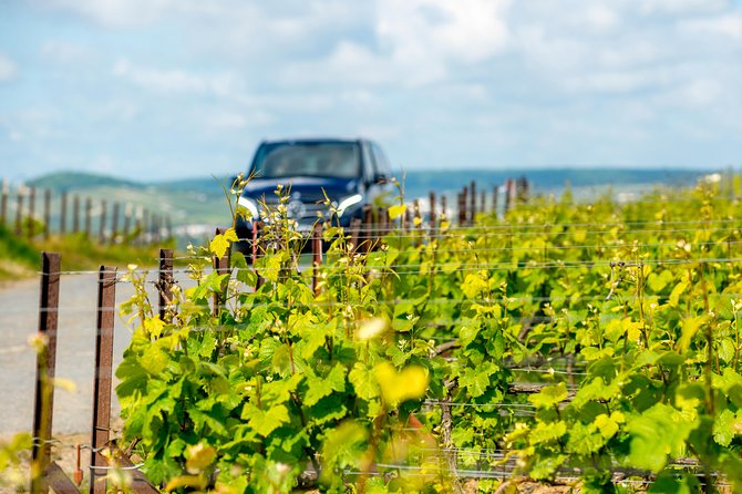 Reims or Epernay Region : Private Minivan Day Tour With Driver Guide at Disposal - Tour Details and Itinerary
