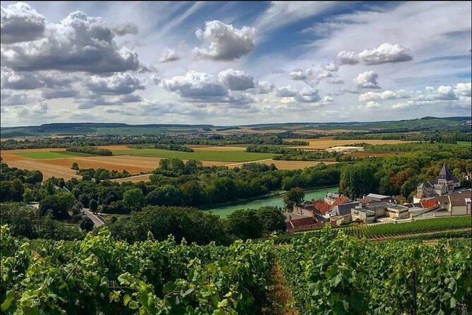 Reims or Epernay Region : Private Minivan Day Tour With Driver Guide at Disposal - Pickup and Transfer Options