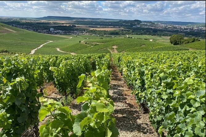 Reims or Epernay Region : Private Minivan Day Tour With Driver Guide at Disposal - Directions for Booking