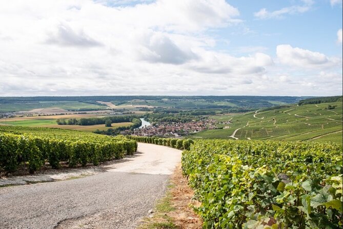 Reims or Epernay Region : Private Minivan Day Tour With Driver Guide at Disposal - Common Questions