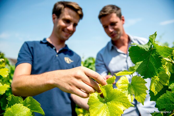 Reims Small-Group Champagne and Vineyard Tour, Wine Tasting  - Cancel 24H Prior & Full Refund - Tour Details