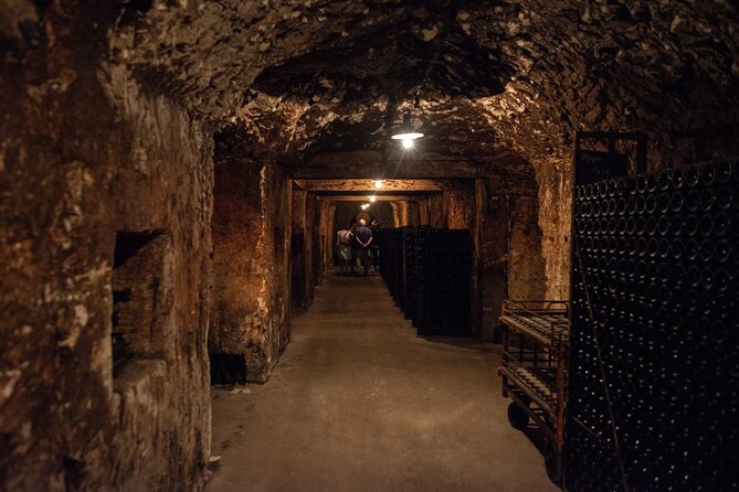 Reims Small-Group Champagne and Vineyard Tour, Wine Tasting  - Cancel 24H Prior & Full Refund - Inclusions