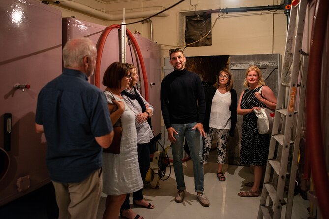 Reims Small-Group Champagne and Vineyard Tour, Wine Tasting  - Cancel 24H Prior & Full Refund - Itinerary and Highlights