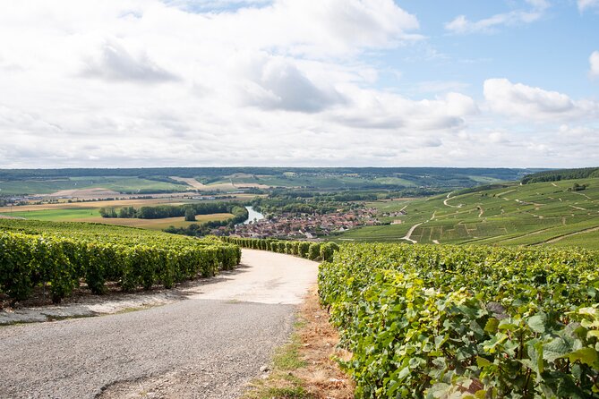 Reims Small-Group Champagne and Vineyard Tour, Wine Tasting  - Cancel 24H Prior & Full Refund - Common Questions