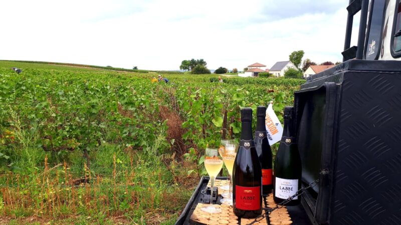 Reims: The Essential Tradition & Panoramic Tasting - Good To Know