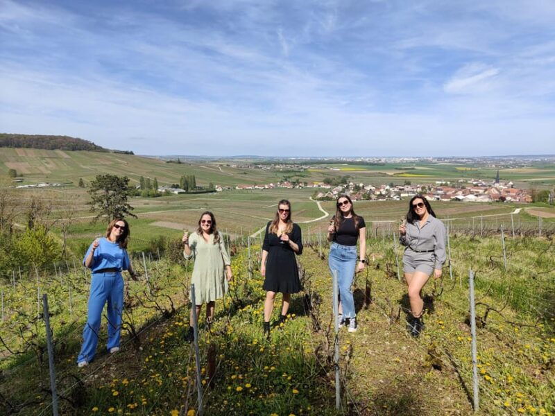 Reims: The Essential Tradition & Panoramic Tasting - Scenic Vineyard Drive