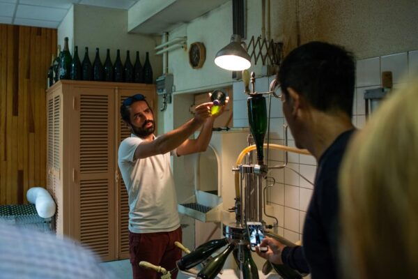 Reims: Veuve Clicquot and Family-Run Winery Day Tour & Lunch - Booking and Cancellation Policies