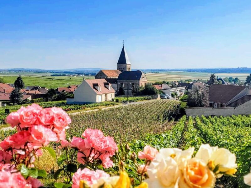 Reims: Veuve Clicquot Tasting Private Tour in Champagne - Itinerary Highlights