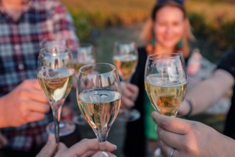 Reims: Veuve Clicquot Tasting Private Tour in Champagne - Inclusions and Exclusions