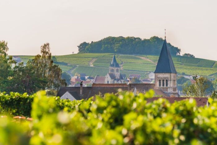 Reims: Veuve Clicquot Tasting Private Tour in Champagne - Booking Information and Cancellation Policy