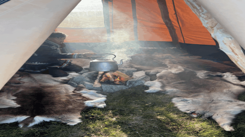 Reindeer and Stories: A Sami Cultural Adventure - Good To Know  