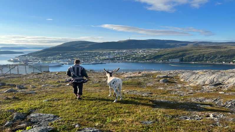 Reindeer and Stories: A Sami Cultural Adventure - The Itinerary in Detail