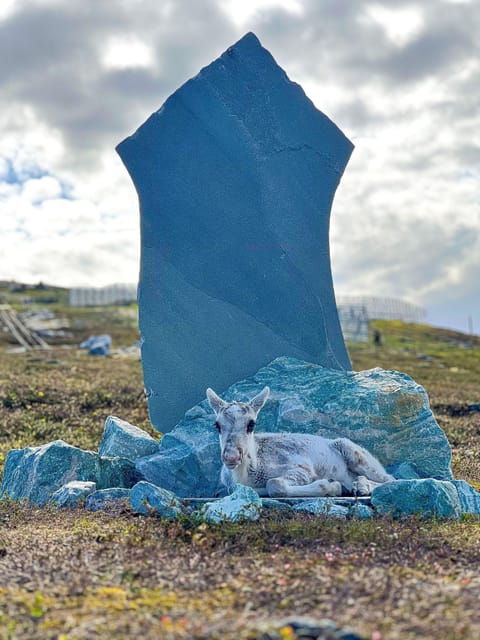 Reindeer and Stories: A Sami Cultural Adventure - Who Will Love This Experience?