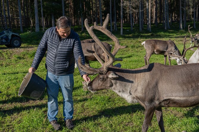 Reindeer Farm Experience in Summer and Autumn From Rovaniemi - Reindeer Farm Experience Overview