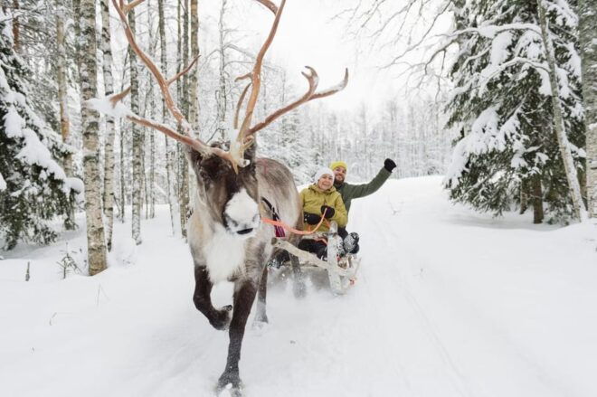Reindeer Farm Visit With Sleigh Ride - Pricing and Reservation Details