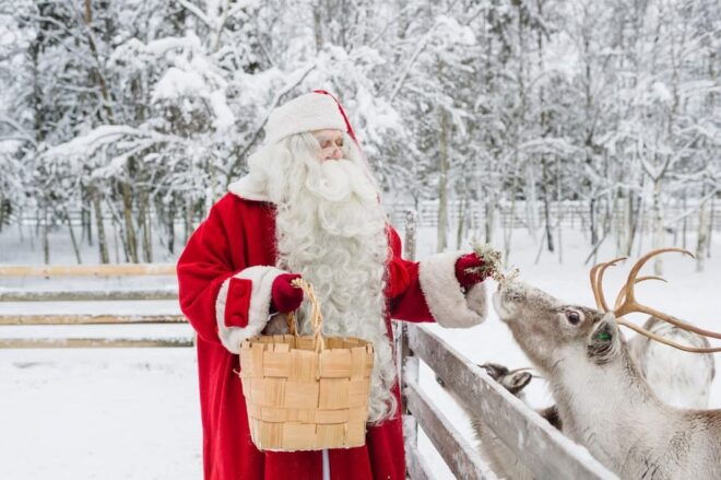Reindeer Farm Visit With Sleigh Ride - Traveler Ratings and Feedback