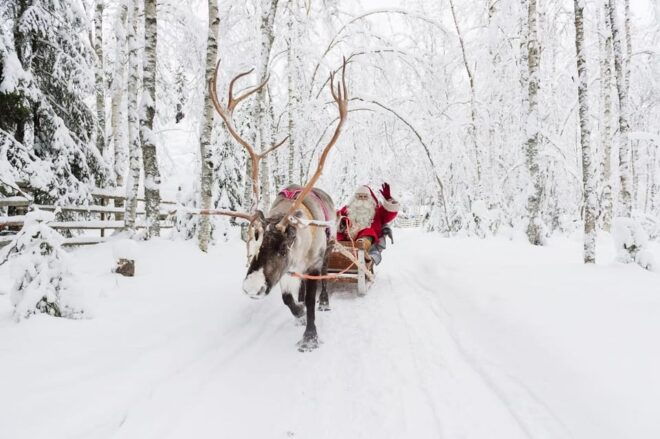 Reindeer Farm Visit With Sleigh Ride - Cultural Insights and Learning Opportunities