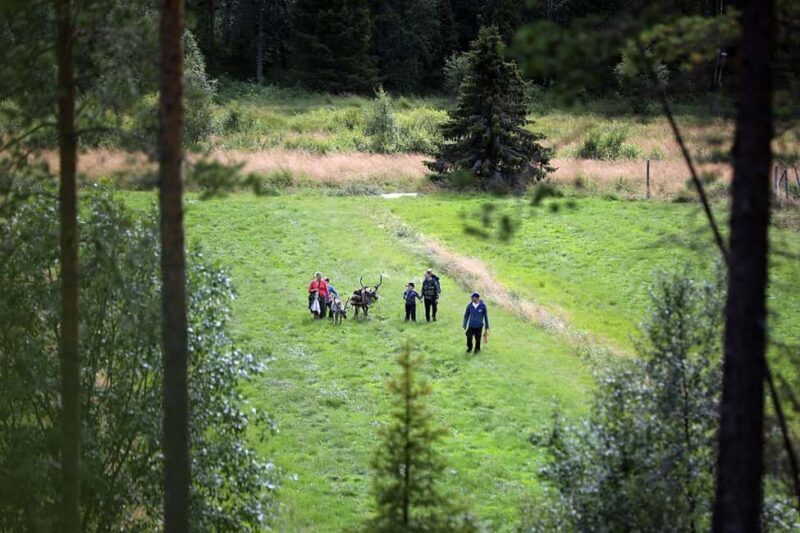 Reindeer Hike in Kuusamo nature - Good To Know