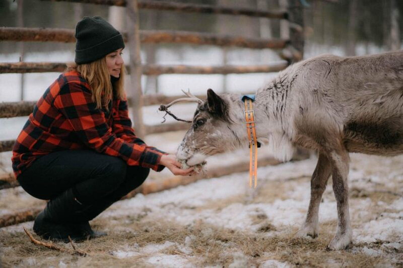 Reindeer Husbandry with Snowmobile Sleigh Ride and Lunch - Good To Know