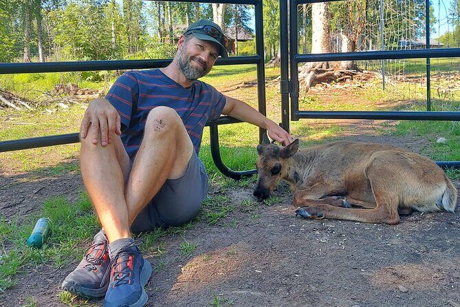 Reindeer Meet and Feed - Talkeetna - The Sum Up: Why You Should Consider the Reindeer Meet and Feed