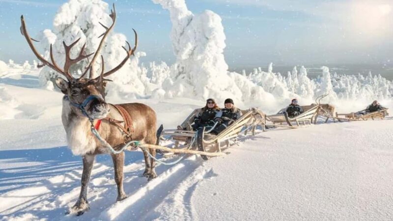 Reindeer Safari and Ice Fishing - Good To Know
