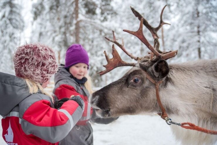 Reindeer Safari and Visit to Reindeer Farm - Booking Information