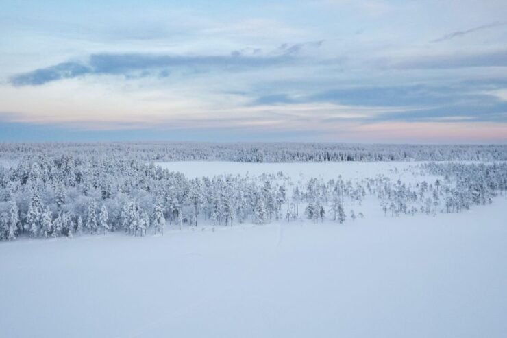 Reindeer Safari and Visit to Reindeer Farm - Experience Highlights