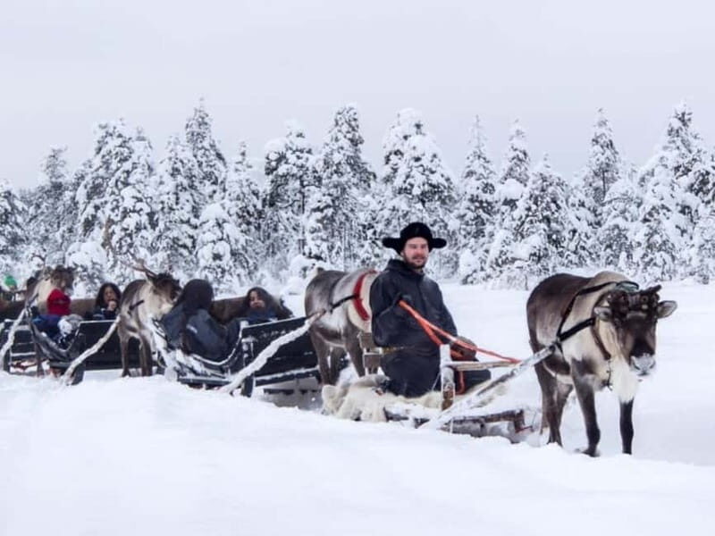 Reindeer Safari at a 200-Year-Old Farm & Long Sled Ride - Good To Know