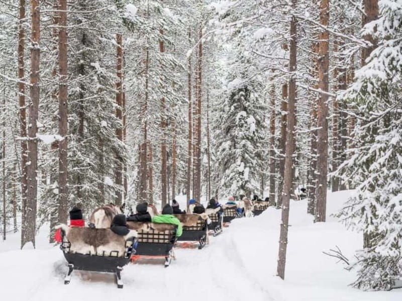 Reindeer Safari at a 200-Year-Old Farm & Long Sled Ride - FAQ