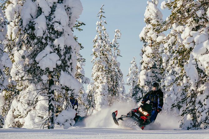Reindeer Safari With Snowmobile and Cross the Arctic Circle Tour From Rovaniemi - Pricing and Booking Details