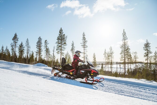 Reindeer Safari With Snowmobile and Cross the Arctic Circle Tour From Rovaniemi - Requirements and Safety