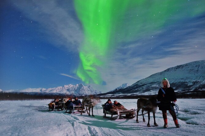 Reindeer Sledding and Feeding With Chance of Northern Lights Tromso - Tour Details and Highlights