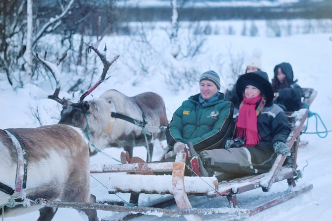 Reindeer Sledding and Feeding With Sami Culture in Tromso. - Pricing and Booking Details