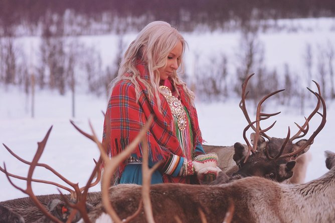 Reindeer Sledding and Feeding With Sami Culture in Tromso. - Tour Overview