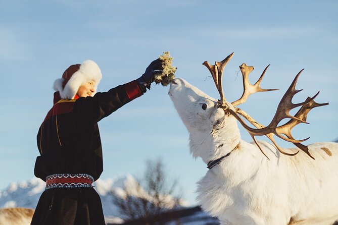 Reindeer Sledding and Feeding With Sami Culture in Tromso. - Additional Information and Policies