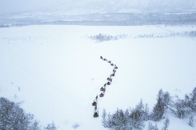 Reindeer Sledding and Feeding With Sami Culture in Tromso. - Common Questions