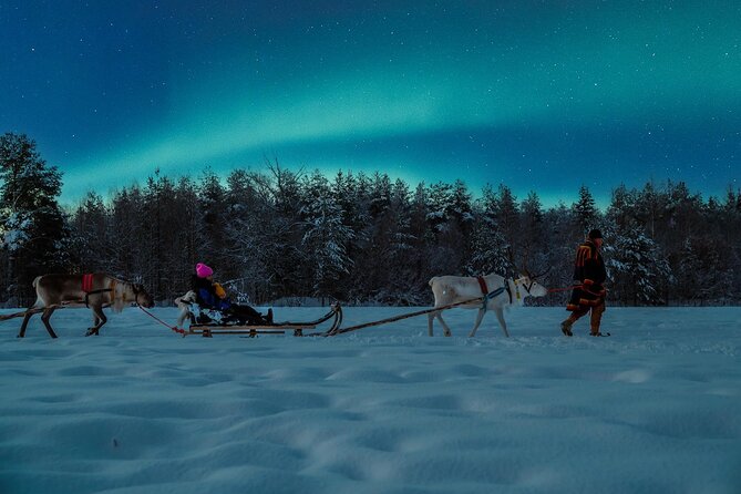 Reindeer Sleigh Ride Across the Night in Apukka Resort Rovaniemi - Overview and Experience