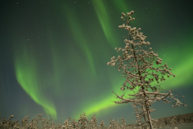 Reindeer Sleigh Ride Across the Night in Apukka Resort Rovaniemi - Inclusions