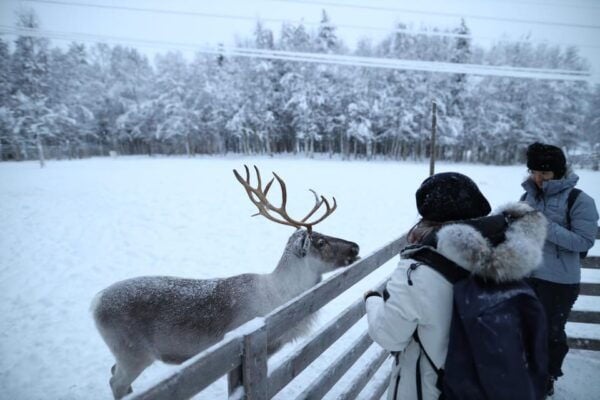 Reindeers, Husky and Santa Claus Village Summer Combo Tour - What to Expect at Santa Claus Village