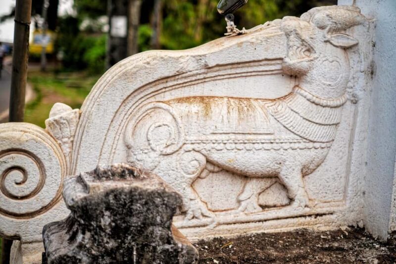 Reis Magos: Fierce Battles To Freedom Ballads | Fort Walk - Practical Details: What to Know Before You Go