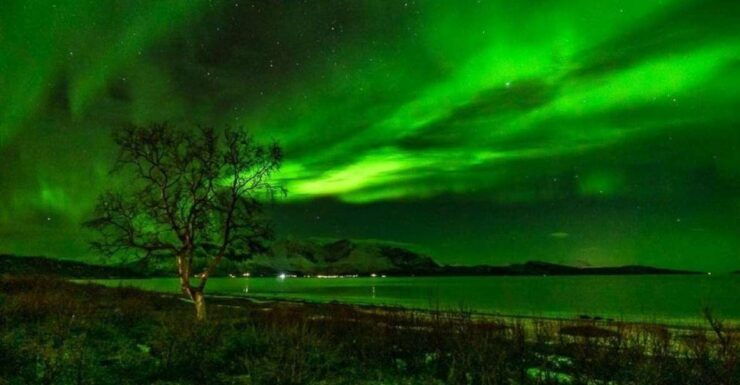 Reisafjord: Northern Lights Hunting - Booking Information