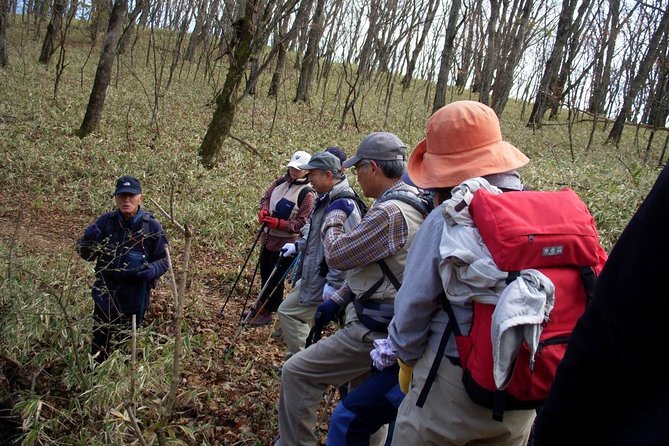 Relax and Refresh in Karuizawa Forest! Shinanoji Down Trekking Around Two People - Pricing and Reservation Details