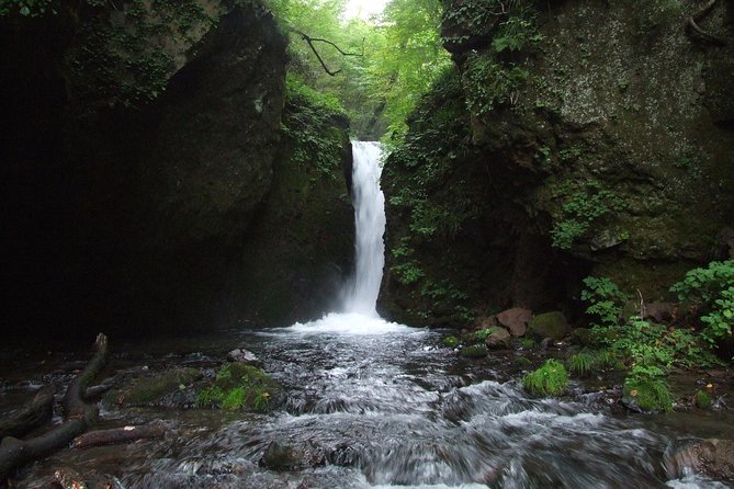 Relax and Refresh in Karuizawa Forest! Shinanoji Down Trekking Around Two People - Cancellation Policy and Refund Guidelines