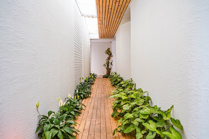 Relax and Rejuvenate With Shirodhara at Avata - Meeting and Pickup