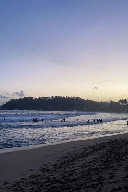 Relax and Unwind: 5 Days Serenity in Southern Sri Lanka - Day 3: Exploring Mirissa