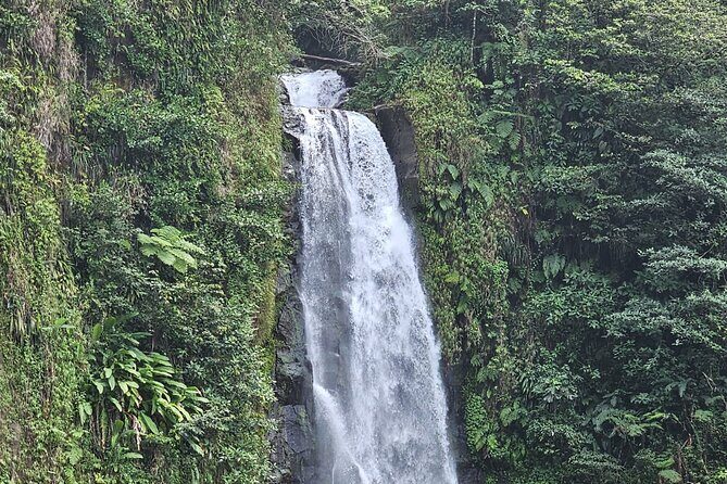 Relax in Hot Springs and swim in Titou Gorge and Trafalgar Falls - Final Thoughts: Is It Worth It?