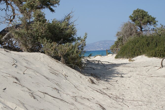 Relax in Nature - Chrissi Island Day Cruise - Highlights of Ierapetra