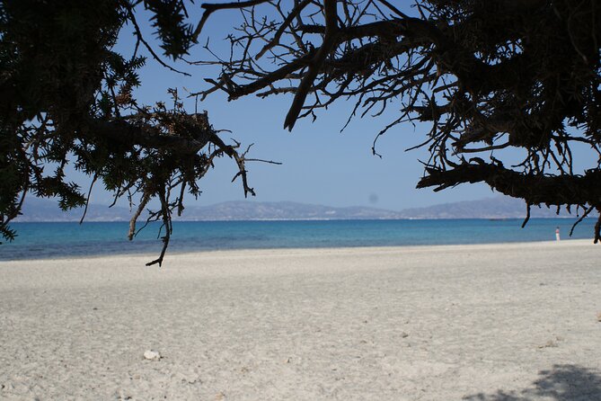 Relax in Nature - Chrissi Island Day Cruise - Attractions and Sights