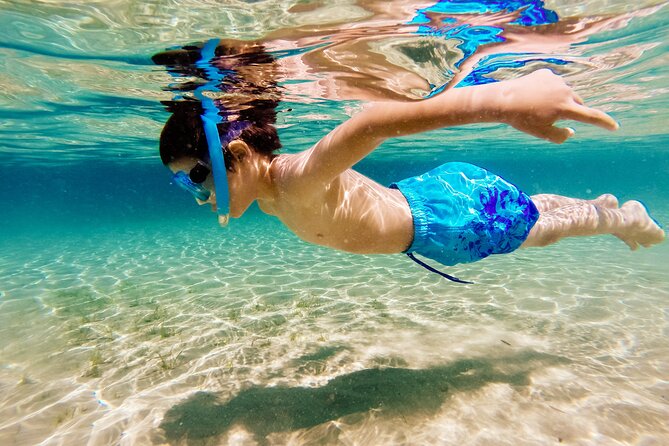 Relaxing and Fun Ibiza Chill Cruiser Half Day Tour All Included - Inclusions