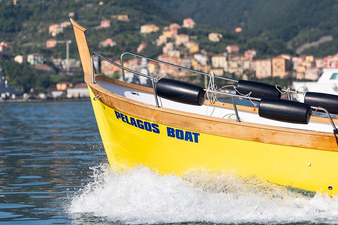 Relaxing Boat Tour With Aperitif in Cinque Terre - Negative Feedback and Challenges